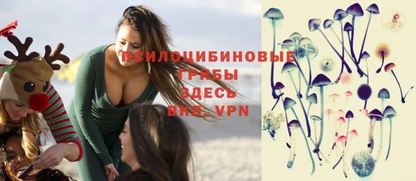 винт Алексин