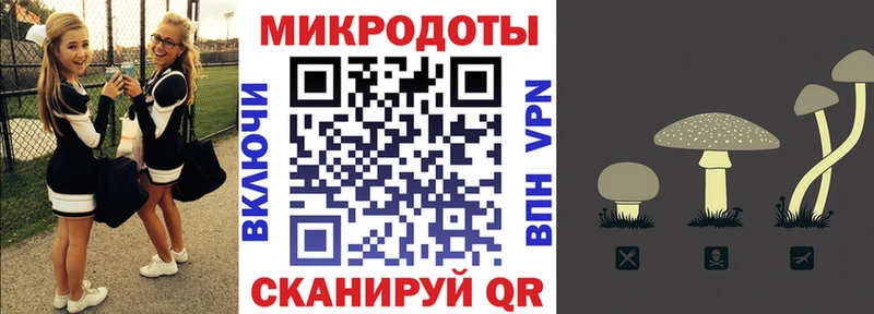 купить  цена  Луза  гидра tor  Псилоцибиновые грибы ЛСД 