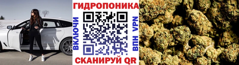 гидра вход  Луза  Каннабис Amnesia 